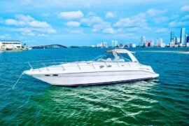 Sea Ray 45-10